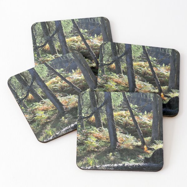 Item preview, Sunlit highland wood near Loch Eck, Scotland designed and sold by Richard Flint.