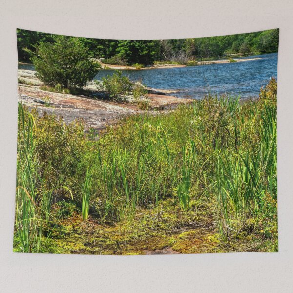 Item preview, Canadian Shield Wetland designed and sold by wildvalecreate.