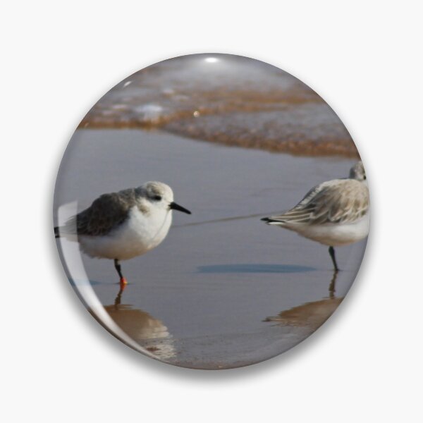 Item preview, Plovers designed and sold by beavo.