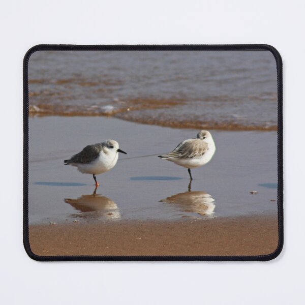 Item preview, Plovers designed and sold by beavo.