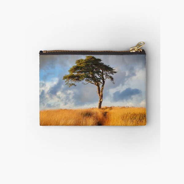 Item preview, Golden light over the lonely tree at Priddy, Somerset designed and sold by Victoria Ashman.