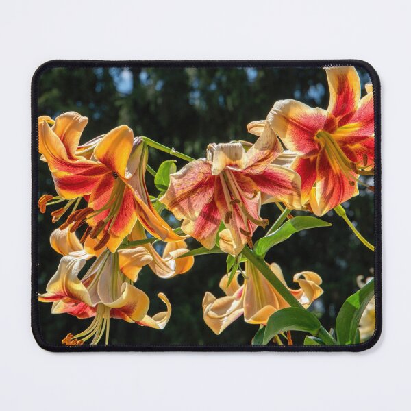 Item preview, Red Lilies designed and sold by wildvalecreate.