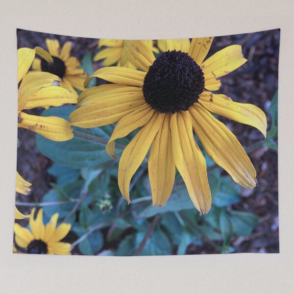 Item preview,  Black Eyed Susans designed and sold by Ric1926.