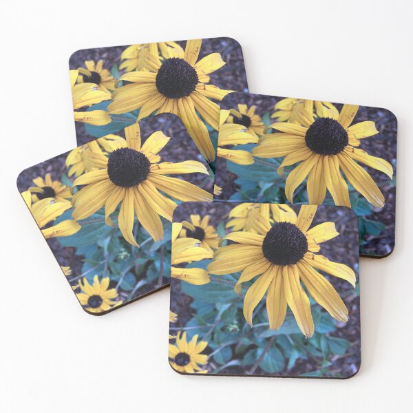 Item preview,  Black Eyed Susans designed and sold by Ric1926.