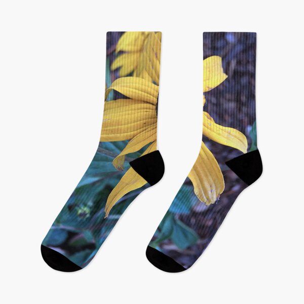 Item preview,  Black Eyed Susans designed and sold by Ric1926.
