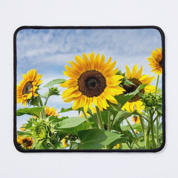 Item preview, Sunflower Garden designed and sold by onepony.