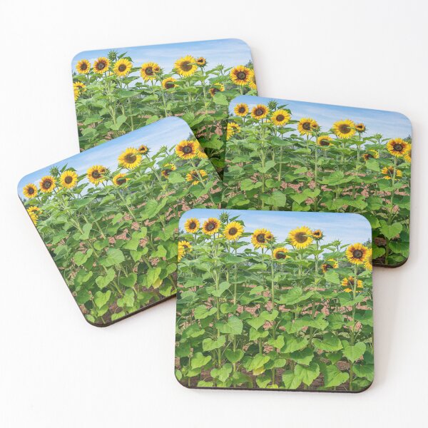 Item preview, Sunflower Row designed and sold by onepony.