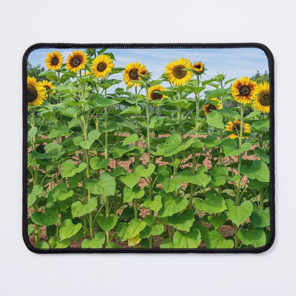 Item preview, Sunflower Row designed and sold by onepony.