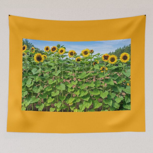 Item preview, Sunflower Row designed and sold by onepony.