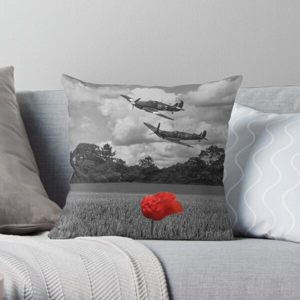 Electric Plane - Throw Pillow