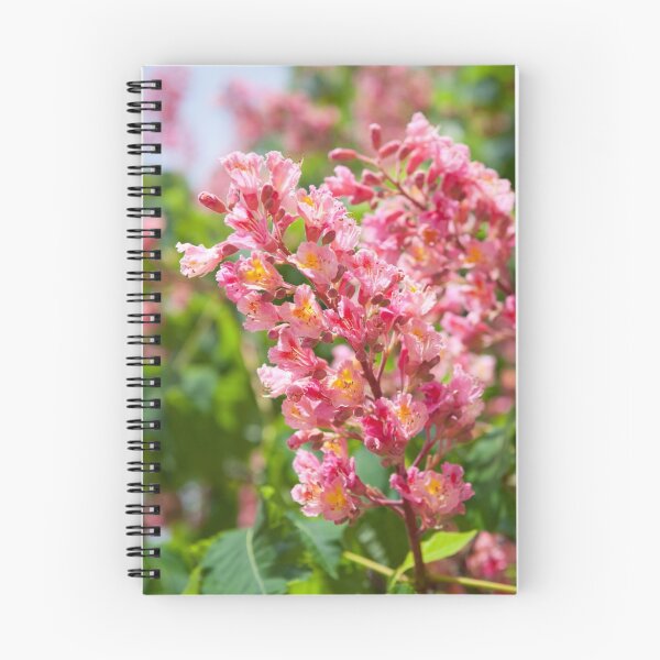 Item preview, Aesculus red blossom cluster designed and sold by Arletta Cwalina.