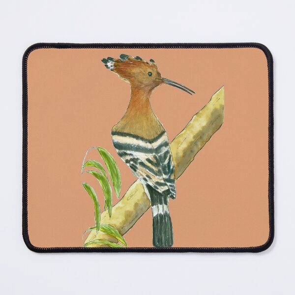 Item preview, Hoopoe (Watercolour) designed and sold by Sarah Addy.