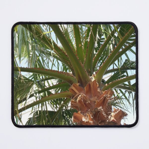 Item preview, Tropical Palm Tree designed and sold by newburyboutique.