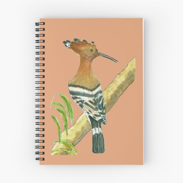 Item preview, Hoopoe (Watercolour) designed and sold by Sarah Addy.