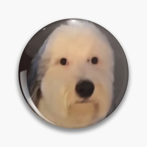 Item preview, dog staring designed and sold by RocketShots.