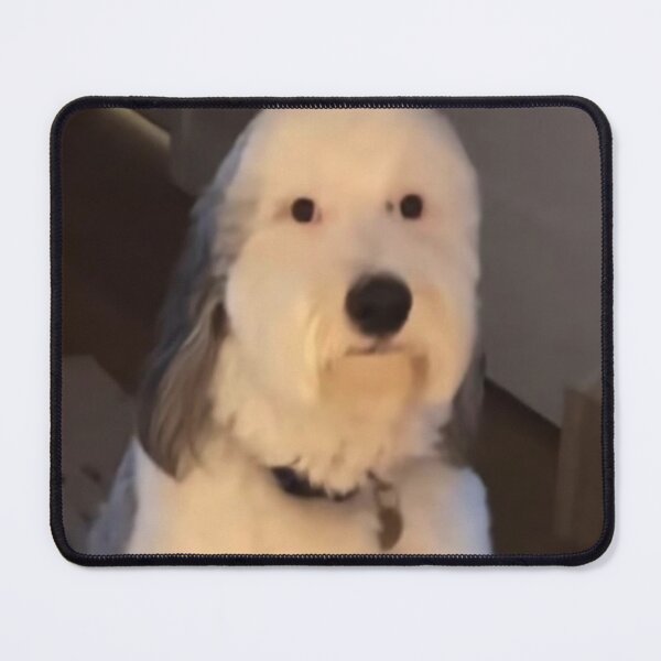 Item preview, dog staring designed and sold by RocketShots.