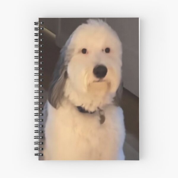 Item preview, dog staring designed and sold by RocketShots.