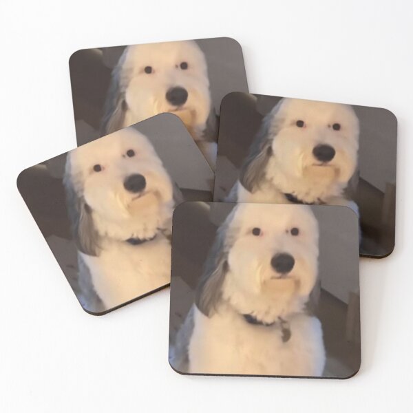 Item preview, dog staring designed and sold by RocketShots.