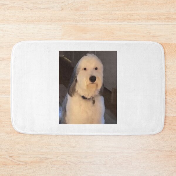 Item preview, dog staring designed and sold by RocketShots.