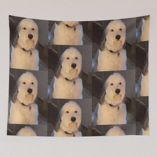 Item preview, dog staring designed and sold by RocketShots.