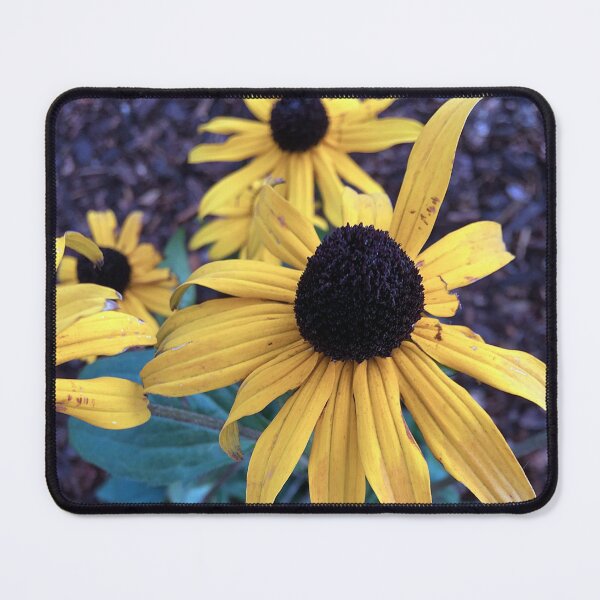 Item preview,  Black Eyed Susans designed and sold by Ric1926.