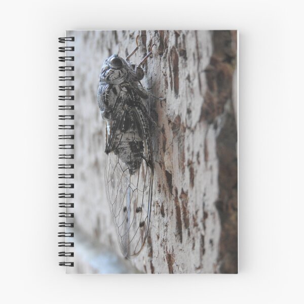 Item preview, Floury Baker Cicada designed and sold by kirstybush.
