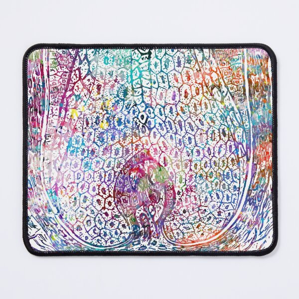 Item preview, Hair Follicle Longitudinal Cross Section designed and sold by EvasDreams.