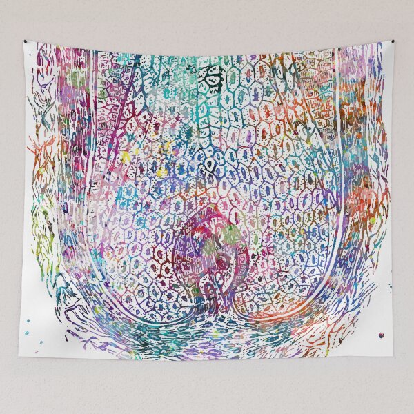 Item preview, Hair Follicle Longitudinal Cross Section designed and sold by EvasDreams.
