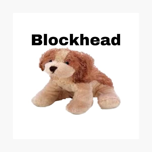 "kinz puppy dog blockhead" Photographic Print for Sale by dyslsexyia Redbubble