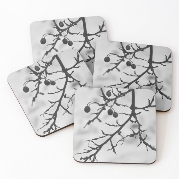 Item preview, Black and white winter branches designed and sold by ABCco.