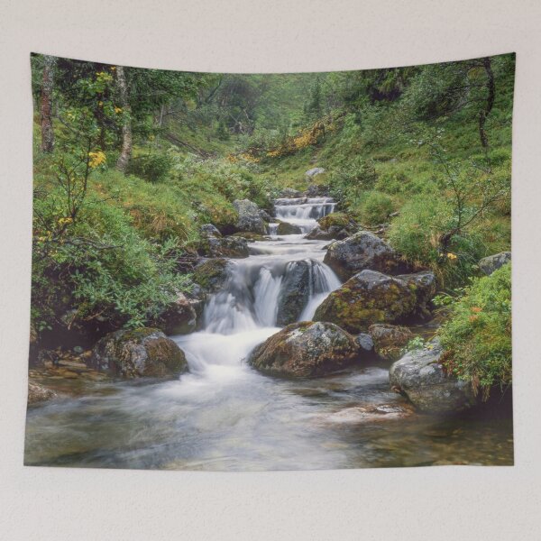 Item preview, Mountain stream designed and sold by Sasas Photography.