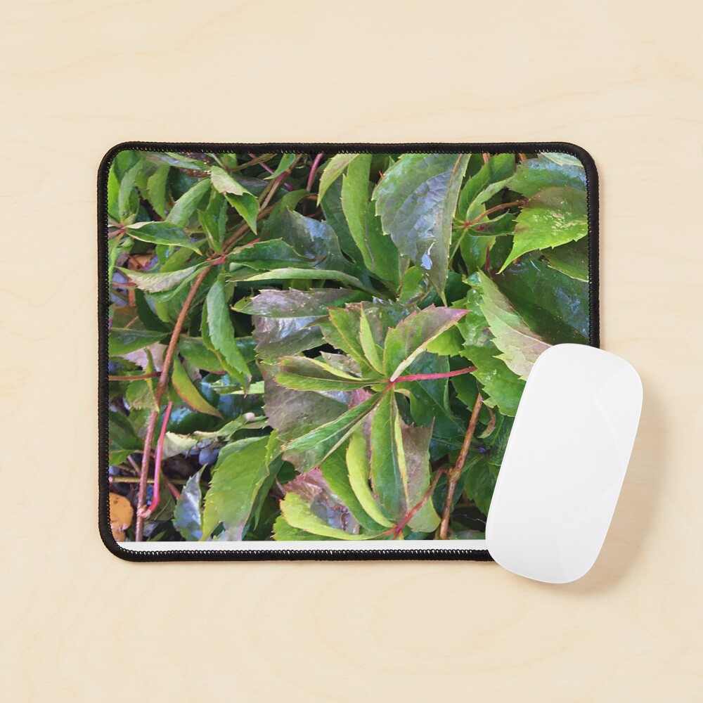 Item preview, Mouse Pad designed and sold by Ric1926.