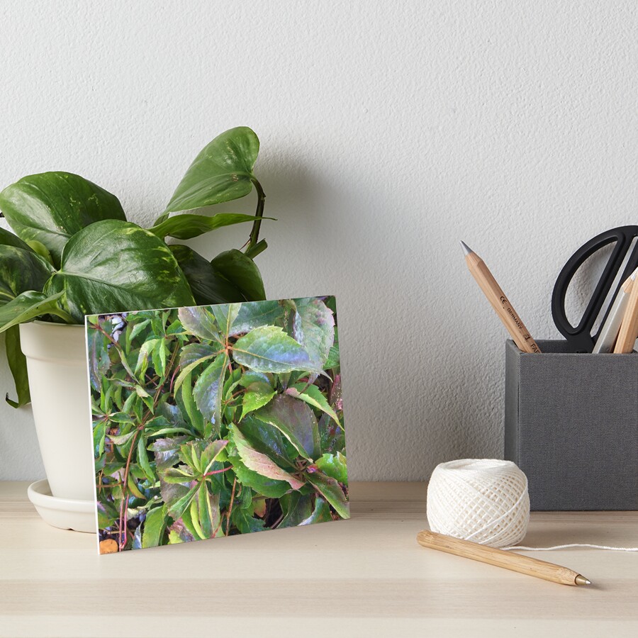 Item preview, Art Board Print designed and sold by Ric1926.
