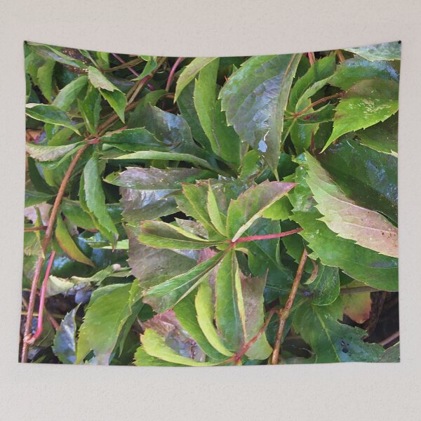 Item preview, Ground Leaves designed and sold by Ric1926.