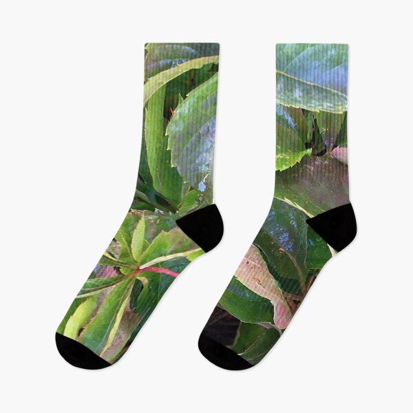 Item preview, Ground Leaves designed and sold by Ric1926.
