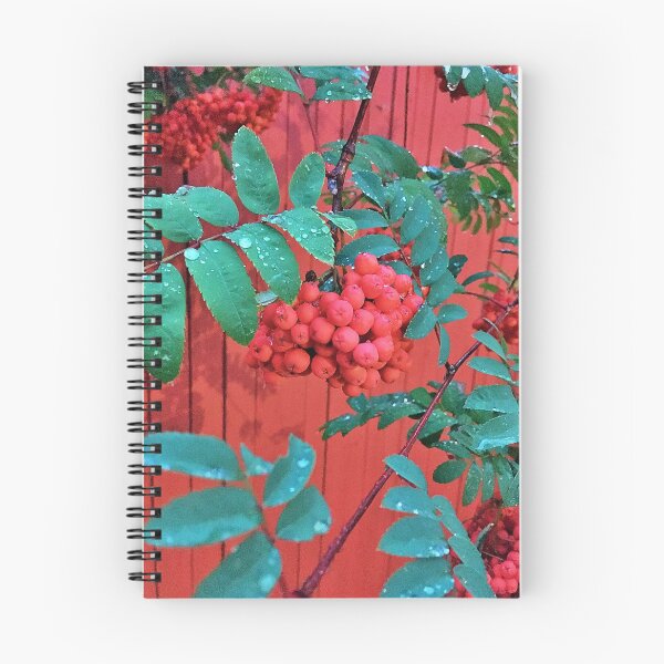 Item preview, Mountain Ash designed and sold by Ric1926.