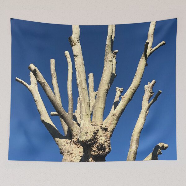 Item preview, Dead Tree Photography designed and sold by Danny Cazzato.
