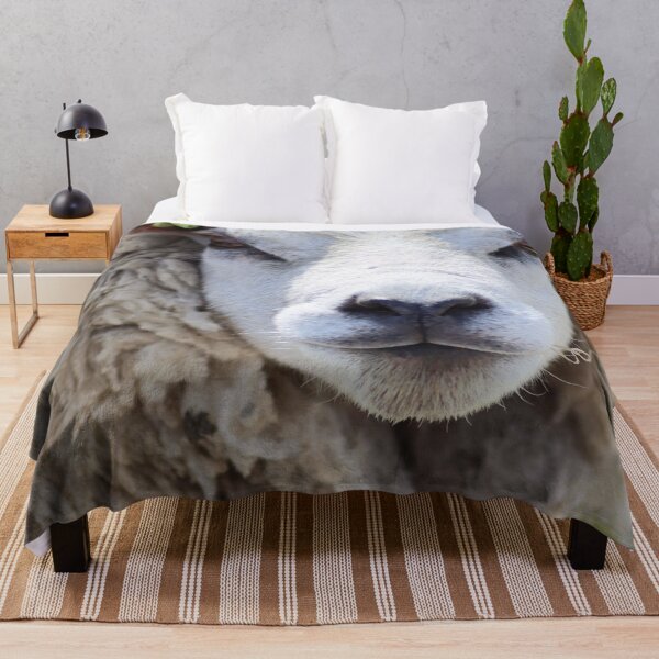 Item preview, Texel Sheep designed and sold by MvMeer.