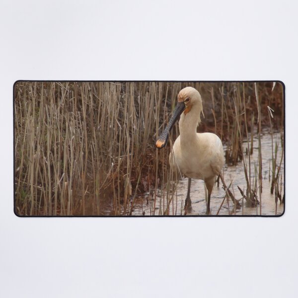 Item preview, Spoonbill designed and sold by MvMeer.