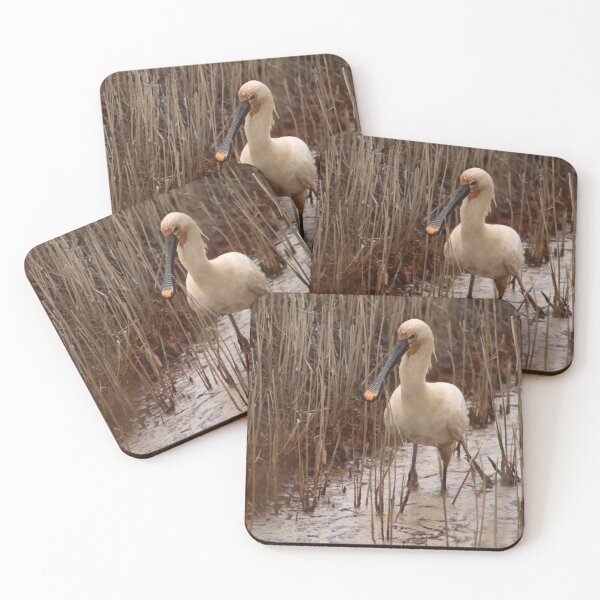 Item preview, Spoonbill designed and sold by MvMeer.