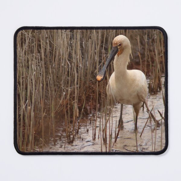 Item preview, Spoonbill designed and sold by MvMeer.