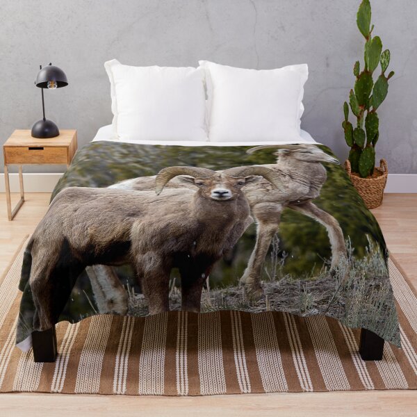 Item preview, 406 - Montana Big Horn Sheep designed and sold by Gilby-Designs.