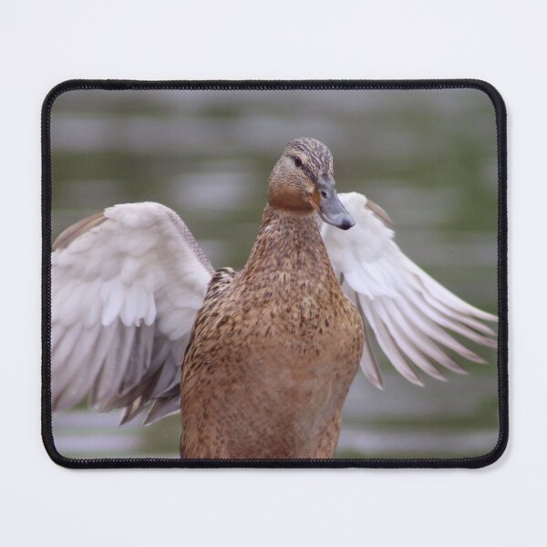Item preview, Duck designed and sold by MvMeer.