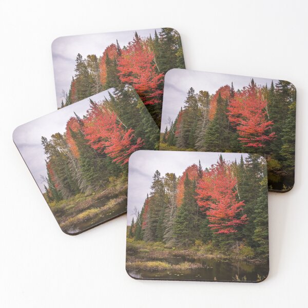 Item preview, Autumn In the Forest designed and sold by Jola Martysz.