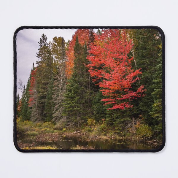 Item preview, Autumn In the Forest designed and sold by Jola Martysz.