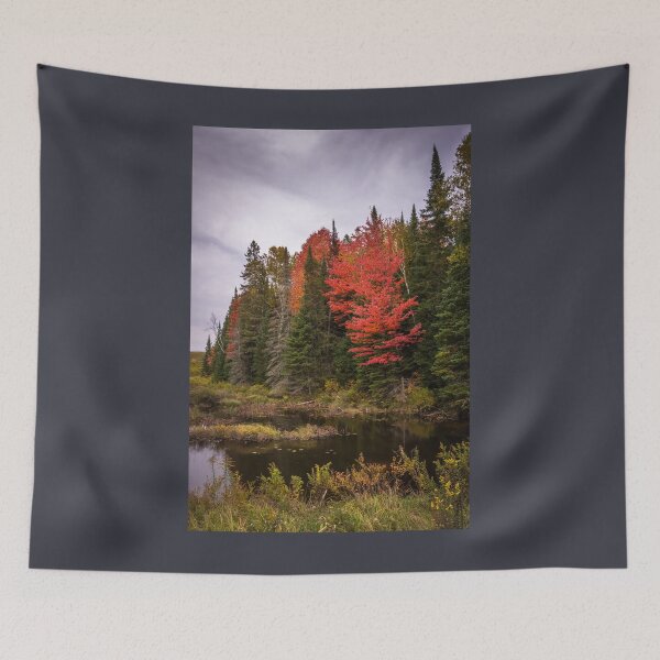 Item preview, Autumn In the Forest designed and sold by Jola Martysz.