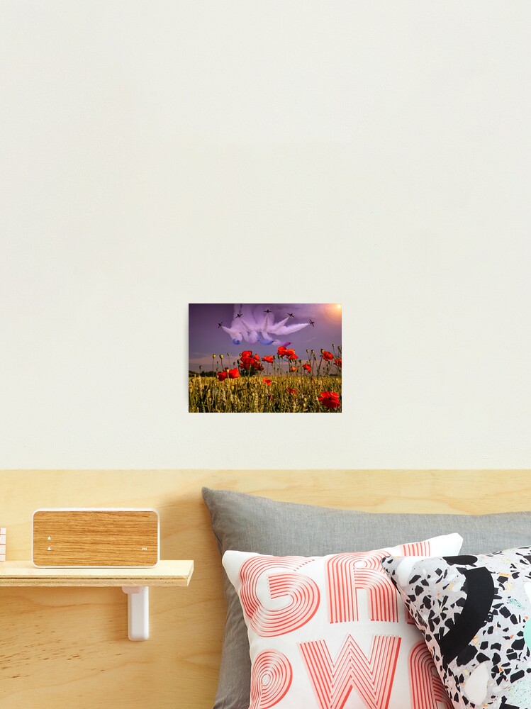 Aperçu 2 sur 3. Impression photo avec l'œuvre Rouges sur les coquelicots créée et vendue par SmartAviation.