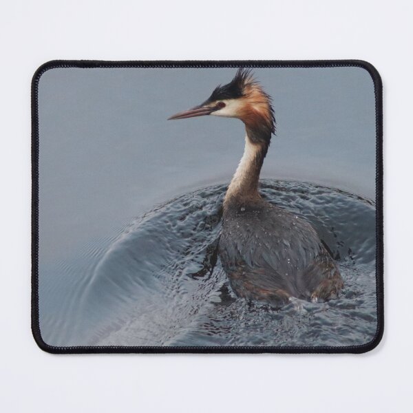 Item preview,  Great crested grebe designed and sold by MvMeer.