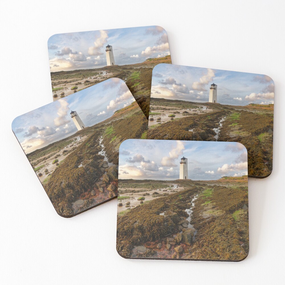 Item preview, Coasters (Set of 4) designed and sold by sjbowen.