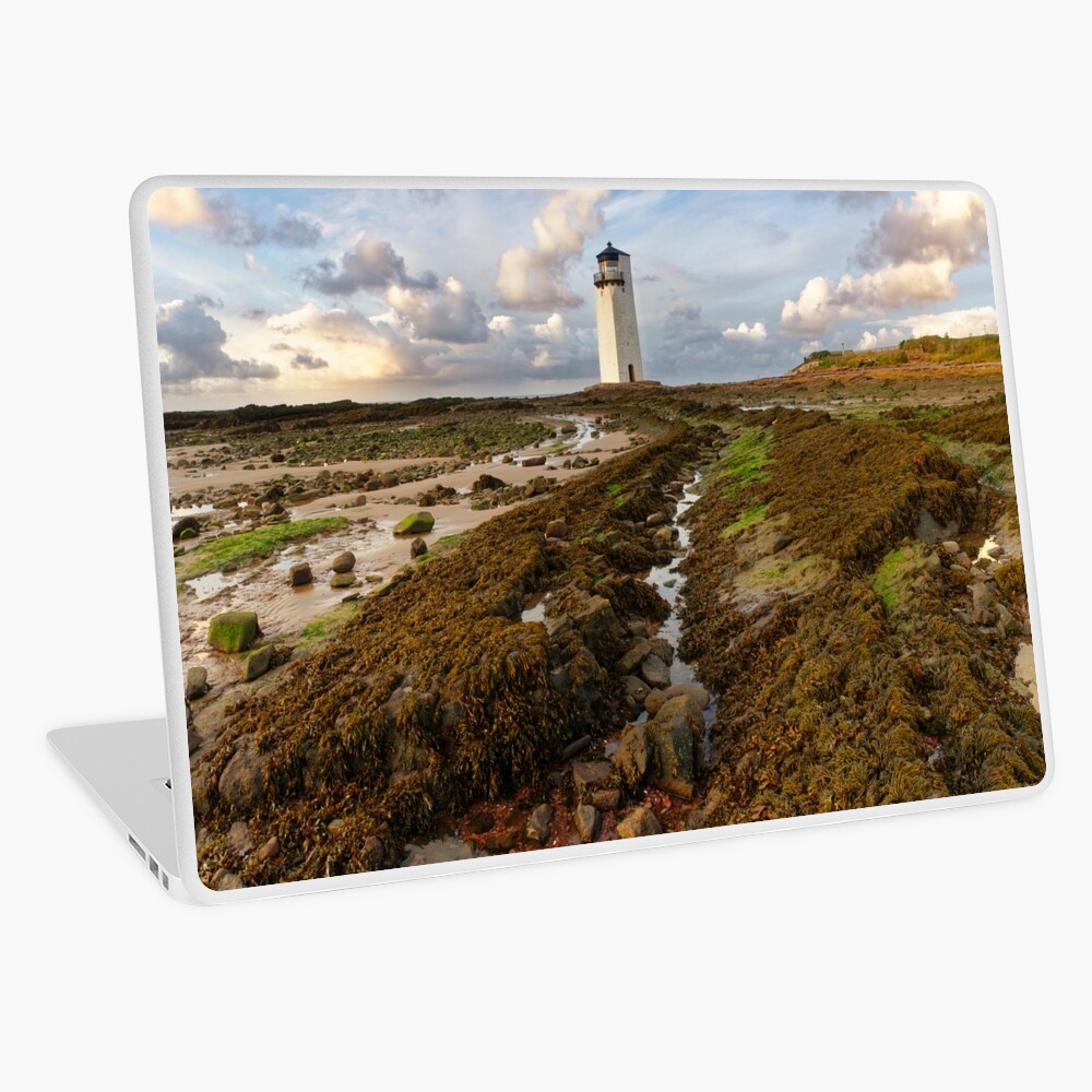 Item preview, Laptop Skin designed and sold by sjbowen.